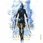 Throne of Glass #1: Kongens forkæmper af Sarah J. Maas