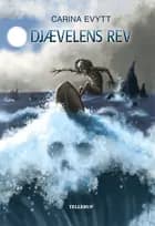 Djævelens Rev