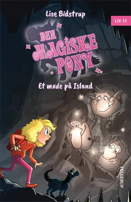 Et møde på Island af Lise Bidstrup