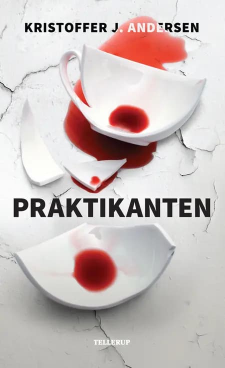 Praktikanten af Kristoffer Jacob Andersen