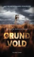 En David Bagger krimi #1
