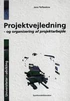 Projektvejledning - og organisering af projektarbejde