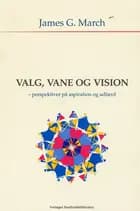 Valg, vane og vision