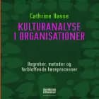 Kulturanalyse i organisationer