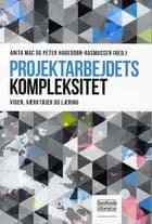 Projektarbejdets kompleksitet