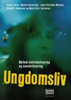 Ungdomsliv af Knud Illeris