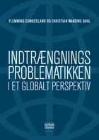 Indtrængningsproblematikken i et globalt perspektiv af Flemming Cumberland og Christian Winding Dahl