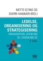 Ledelse, organisering og strategisering af Mette Elting og Sverri Hammer