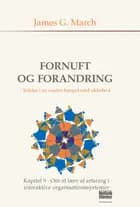 Om at lære af erfaring i interaktive organisationssystemer