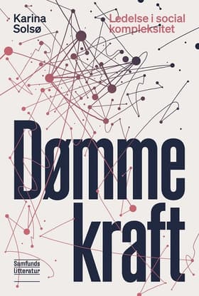 Dømmekraft af Karina Solsø