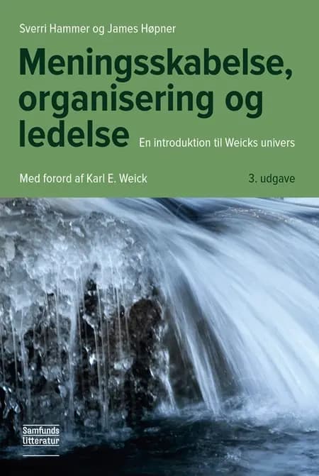 Meningsskabelse, organisering og ledelse af Sverri Hammer
