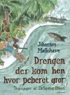 Drengen der kom hen hvor peberet gror af Johannes Møllehave