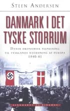 Danmark i det tyske storrum