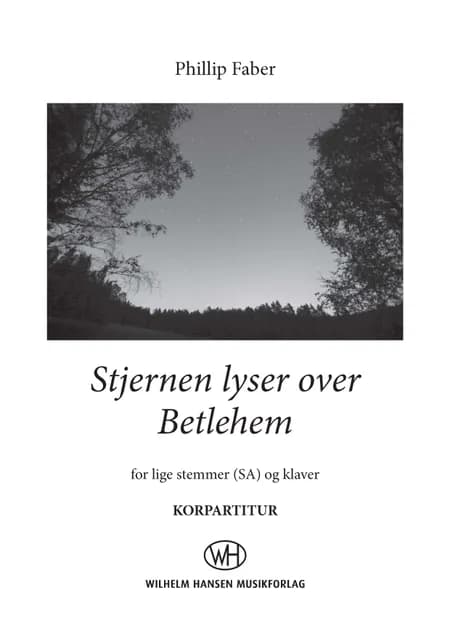 Stjernen lyser over Betlehem af Phillip Faber