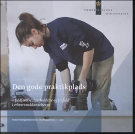 Den gode praktikplads 