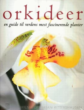 Orkideer af Wilma Ritterhausen