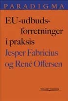 EU-udbudsforretninger i praksis