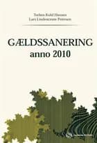 Gældssanering anno 2010