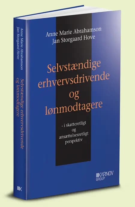 Selvstændige erhvervsdrivende og lønmodtagere af Anne Marie Abrahamson