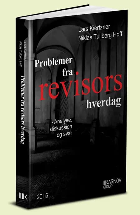 Problemer fra revisors hverdag af Lars Kiertzner