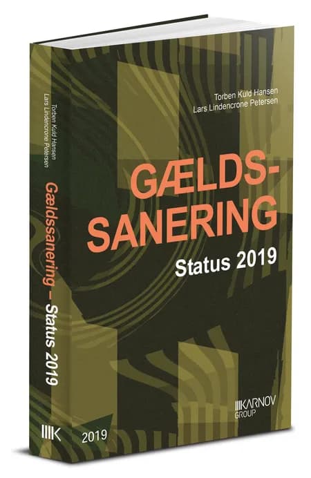 Gældssanering - status 2019 af Lars Lindencrone Petersen