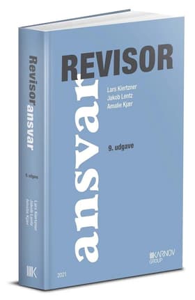 Revisoransvar af Lars Bo Langsted