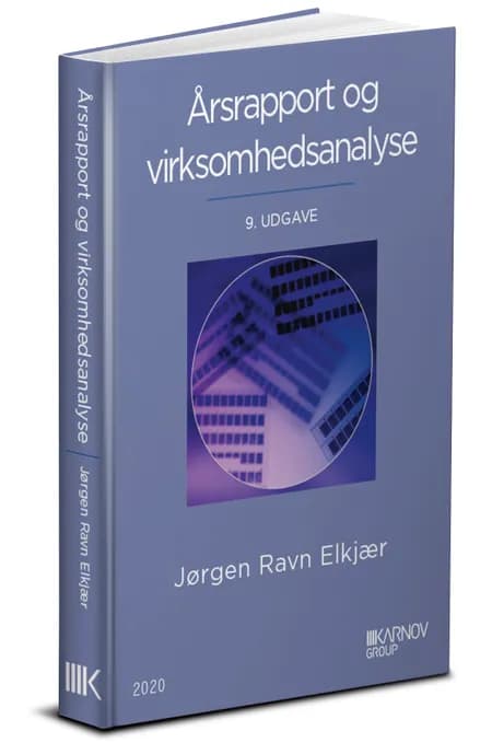 Årsrapport og virksomhedsanalyse af Kristian Hjulsager