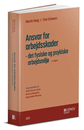 Ansvar for arbejdsskader af Finn Schwarz
