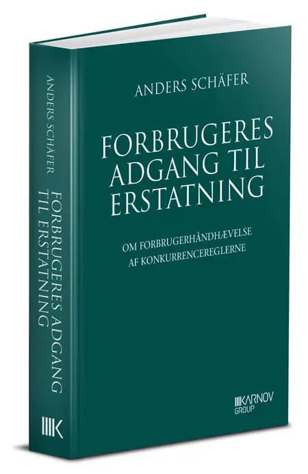 Forbrugeres adgang til erstatning, doktorafhandling af Anders Schäfer