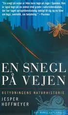 En snegl på vejen