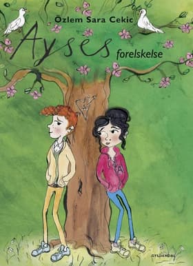 Ayses forelskelse af Özlem Cekic