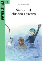 Station 14 - hunden i havnen