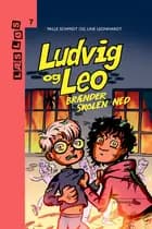 Ludvig og Leo brænder skolen ned