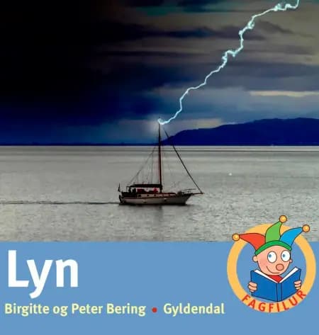 Lyn af Birgitte Bering