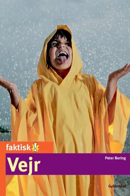 Vejr af Peter Bering