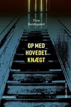 Mellem_rum. Op med hovedet knægt