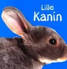 Lille kanin