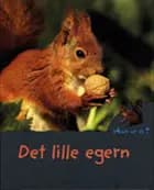 Det lille egern