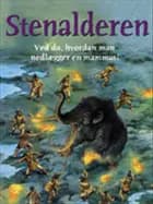 Stenalderen af Julia Bruce