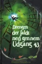 Drengen der faldt ned gennem Udgang 43