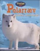 Polarræv