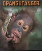 Orangutanger