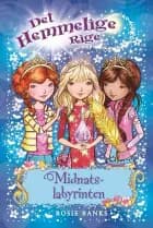 Midnatslabyrinten af Rosie Banks