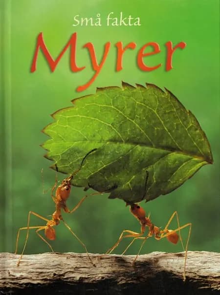 Myrer af Lucy Bowman