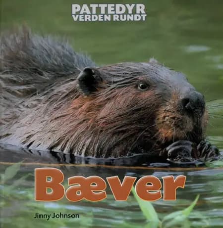 Bæver af Jinny Johnson