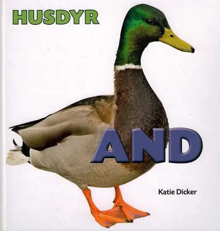 And af Katie Dicker
