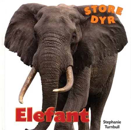 Elefant af Stephanie Turnbull