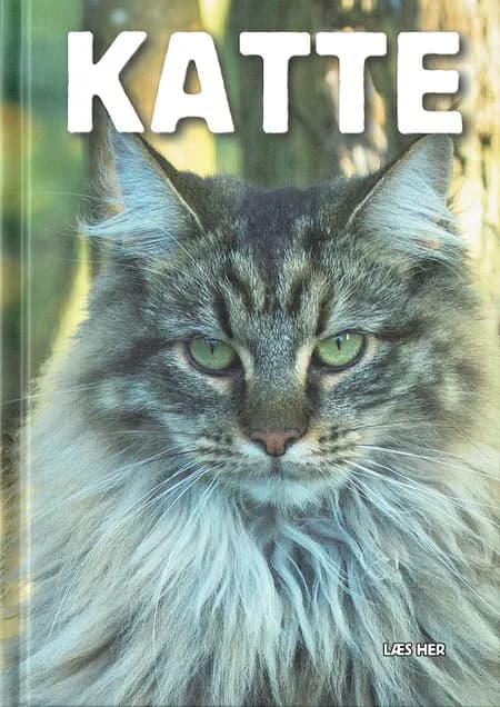 Katte af Ole Steen Hansen