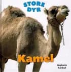 STORE DYR: Kamel
