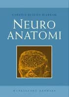 Neuroanatomi